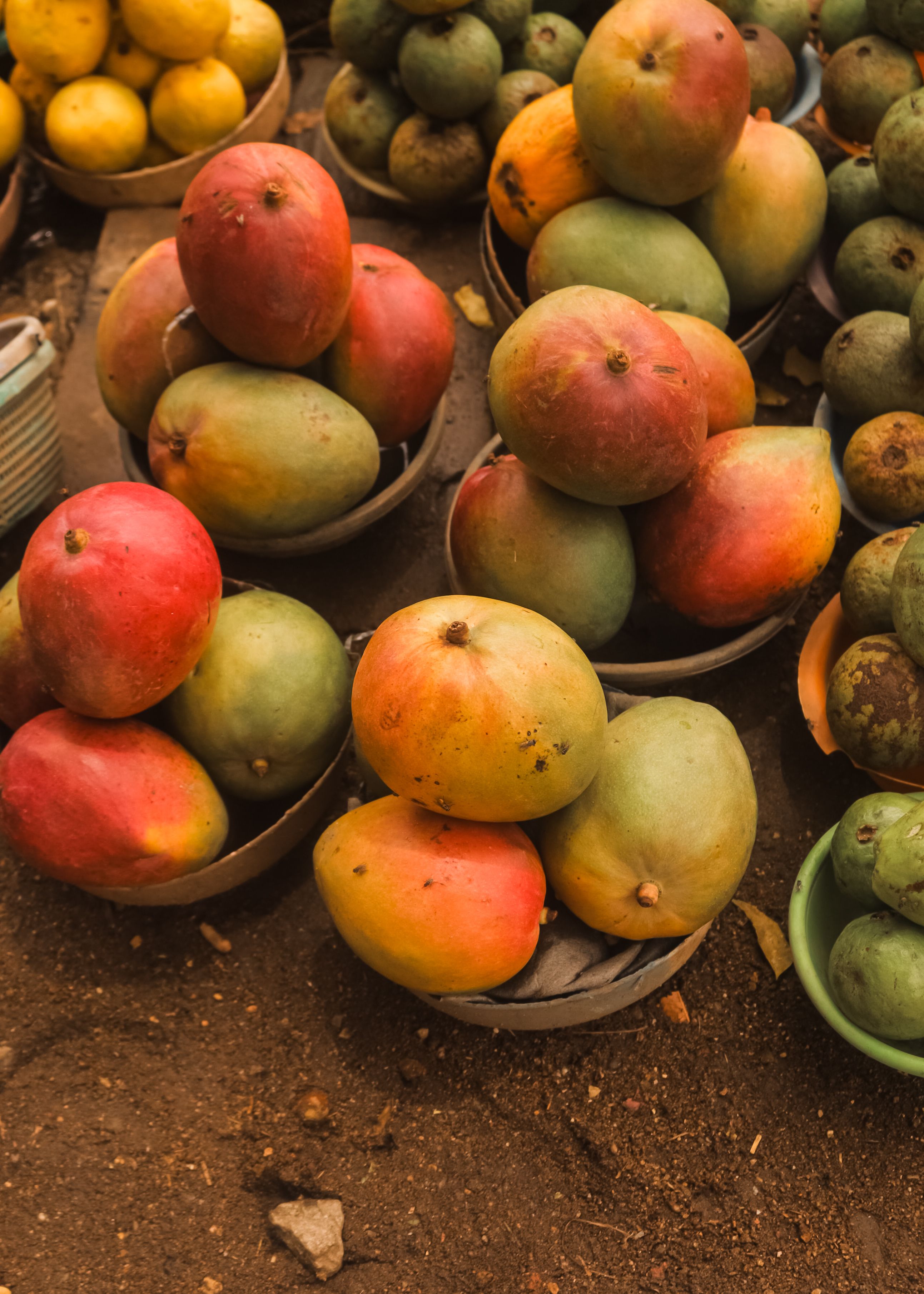 Mangues cultivées au Bénin